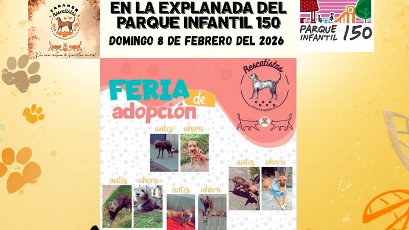 Rescatistas independientes convocan a feria de adopción este domingo en Morelia